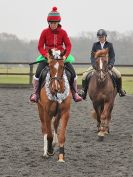 Image 15 in DEBEN RIDING CLUB XMAS SHOW JUMPING. CLASS 4