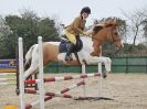 Image 20 in DEBEN RIDING CLUB XMAS SHOW JUMPING. CLASS 4