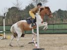 Image 21 in DEBEN RIDING CLUB XMAS SHOW JUMPING. CLASS 4