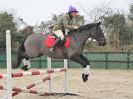 Image 29 in DEBEN RIDING CLUB XMAS SHOW JUMPING. CLASS 4