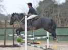 Image 59 in DEBEN RIDING CLUB XMAS SHOW JUMPING. CLASS 4