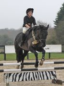 Image 60 in DEBEN RIDING CLUB XMAS SHOW JUMPING. CLASS 4