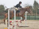 Image 72 in DEBEN RIDING CLUB XMAS SHOW JUMPING. CLASS 4