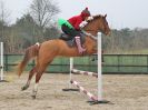 Image 79 in DEBEN RIDING CLUB XMAS SHOW JUMPING. CLASS 4