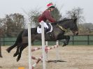 Image 94 in DEBEN RIDING CLUB XMAS SHOW JUMPING. CLASS 4