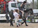 Image 14 in DEBEN RIDING CLUB. XMAS SHOW JUMPING. 10 DEC 2016. CLASS 3