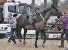 Image 22 in DEBEN RIDING CLUB. XMAS SHOW JUMPING. 10 DEC 2016. CLASS 3