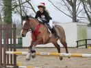 Image 31 in DEBEN RIDING CLUB. XMAS SHOW JUMPING. 10 DEC 2016. CLASS 3