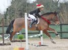 Image 34 in DEBEN RIDING CLUB. XMAS SHOW JUMPING. 10 DEC 2016. CLASS 3