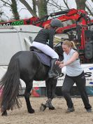 Image 7 in DEBEN RIDING CLUB. XMAS SHOW JUMPING. 10 DEC 2016. CLASS 3