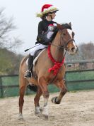 Image 23 in DEBEN RIDING CLUB. XMAS SHOWJUMPING. 10 DEC. 2016. CLASS 2.