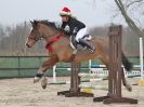 Image 27 in DEBEN RIDING CLUB. XMAS SHOWJUMPING. 10 DEC. 2016. CLASS 2.