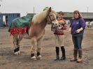 DEBEN RIDING CLUB. XMAS SHOW JUMPING. 10 DEC. 2016. CLASS 1