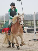 Image 11 in DEBEN RIDING CLUB. XMAS SHOW JUMPING. 10 DEC. 2016. CLASS 1