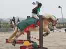 Image 15 in DEBEN RIDING CLUB. XMAS SHOW JUMPING. 10 DEC. 2016. CLASS 1