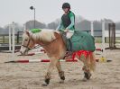 Image 18 in DEBEN RIDING CLUB. XMAS SHOW JUMPING. 10 DEC. 2016. CLASS 1