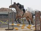 Image 28 in DEBEN RIDING CLUB. XMAS SHOW JUMPING. 10 DEC. 2016. CLASS 1