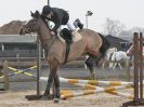 Image 29 in DEBEN RIDING CLUB. XMAS SHOW JUMPING. 10 DEC. 2016. CLASS 1