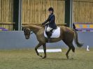 Image 230 in BECCLES AND BUNGAY RC. DRESSAGE 18 DEC 2016