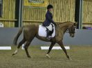 Image 236 in BECCLES AND BUNGAY RC. DRESSAGE 18 DEC 2016