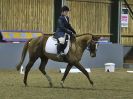 Image 240 in BECCLES AND BUNGAY RC. DRESSAGE 18 DEC 2016