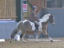 Image 77 in BECCLES AND BUNGAY RC. DRESSAGE 18 DEC 2016