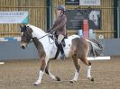 Image 81 in BECCLES AND BUNGAY RC. DRESSAGE 18 DEC 2016