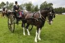 Image 10 in SOME EQUINE PICTURES FROM 2013 ROYAL NORFOLK SHOW