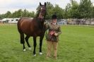 Image 13 in SOME EQUINE PICTURES FROM 2013 ROYAL NORFOLK SHOW