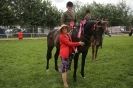 Image 15 in SOME EQUINE PICTURES FROM 2013 ROYAL NORFOLK SHOW