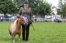 Image 16 in SOME EQUINE PICTURES FROM 2013 ROYAL NORFOLK SHOW