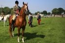 Image 17 in SOME EQUINE PICTURES FROM 2013 ROYAL NORFOLK SHOW