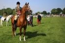 Image 18 in SOME EQUINE PICTURES FROM 2013 ROYAL NORFOLK SHOW