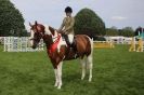 Image 19 in SOME EQUINE PICTURES FROM 2013 ROYAL NORFOLK SHOW