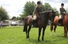 Image 20 in SOME EQUINE PICTURES FROM 2013 ROYAL NORFOLK SHOW