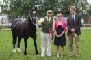 Image 21 in SOME EQUINE PICTURES FROM 2013 ROYAL NORFOLK SHOW