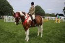 Image 22 in SOME EQUINE PICTURES FROM 2013 ROYAL NORFOLK SHOW