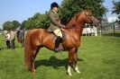 Image 23 in SOME EQUINE PICTURES FROM 2013 ROYAL NORFOLK SHOW