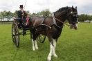 Image 26 in SOME EQUINE PICTURES FROM 2013 ROYAL NORFOLK SHOW