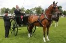 Image 27 in SOME EQUINE PICTURES FROM 2013 ROYAL NORFOLK SHOW