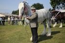 Image 28 in SOME EQUINE PICTURES FROM 2013 ROYAL NORFOLK SHOW