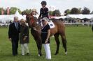 Image 29 in SOME EQUINE PICTURES FROM 2013 ROYAL NORFOLK SHOW