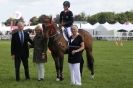 Image 30 in SOME EQUINE PICTURES FROM 2013 ROYAL NORFOLK SHOW