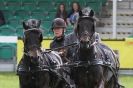 Image 34 in SOME EQUINE PICTURES FROM 2013 ROYAL NORFOLK SHOW