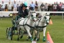 Image 37 in SOME EQUINE PICTURES FROM 2013 ROYAL NORFOLK SHOW