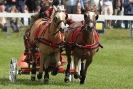 Image 39 in SOME EQUINE PICTURES FROM 2013 ROYAL NORFOLK SHOW