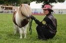 Image 4 in SOME EQUINE PICTURES FROM 2013 ROYAL NORFOLK SHOW