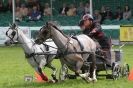 Image 40 in SOME EQUINE PICTURES FROM 2013 ROYAL NORFOLK SHOW