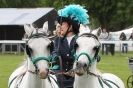 Image 43 in SOME EQUINE PICTURES FROM 2013 ROYAL NORFOLK SHOW