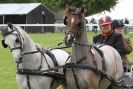 Image 44 in SOME EQUINE PICTURES FROM 2013 ROYAL NORFOLK SHOW